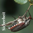 Sicherheit