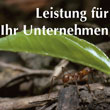 Leistung f�r Ihr Unternehmen