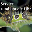 Service rund um die Uhr